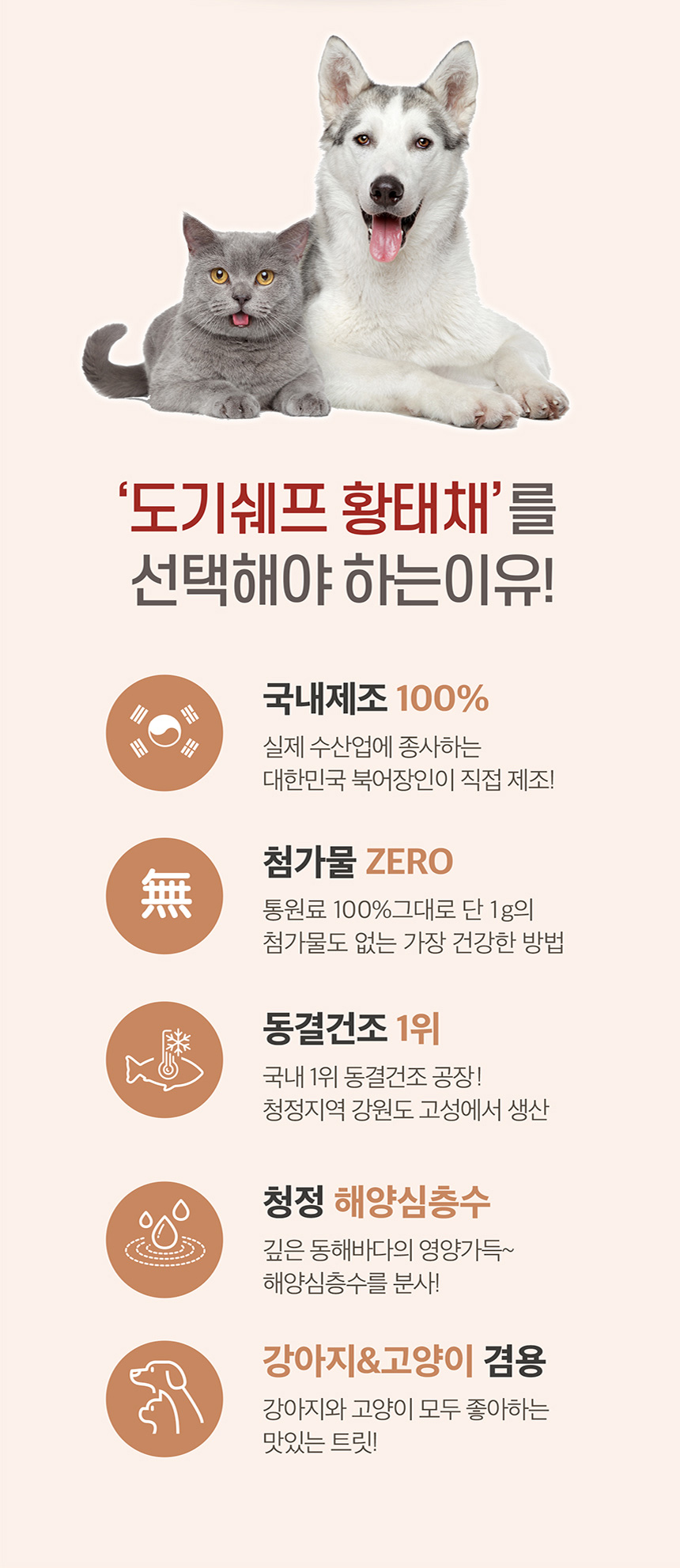 dd2c1fb3528bb33e1e1e72743a937cfd_1735004378_6497.jpg