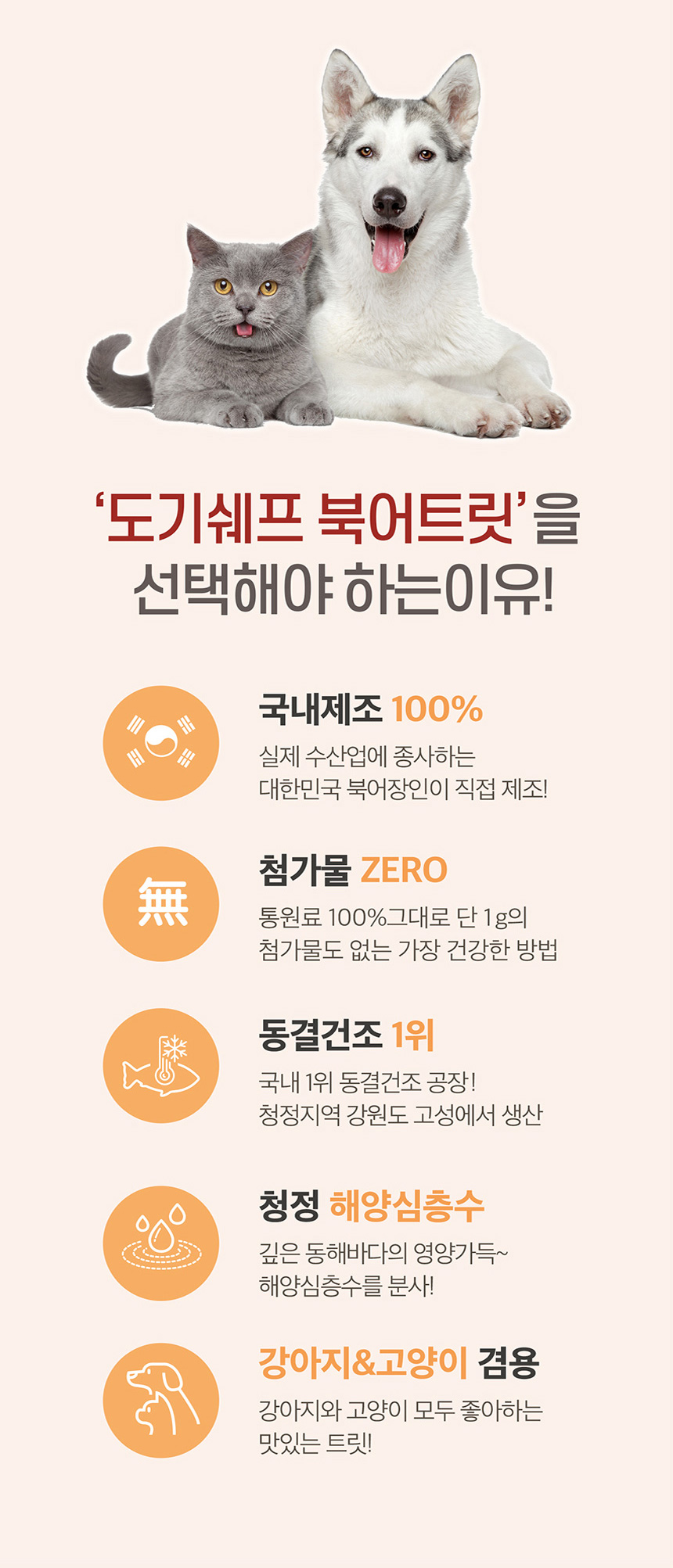 dd2c1fb3528bb33e1e1e72743a937cfd_1735004488_392.jpg