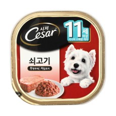 시저 쇠고기 11세 이상 100g